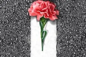 قیام بهار در بهمن
