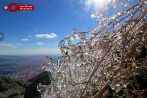 منظره‌ای زیبا از شمال شهر تهران