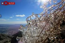 منظره‌ای زیبا از شمال شهر تهران