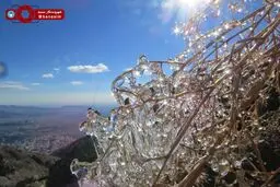 منظره‌ای زیبا از شمال شهر تهران