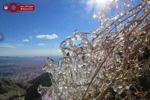 منظره‌ای زیبا از شمال شهر تهران