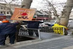 اجرای طرح ضربتی مبارزه با جانوران موذی در خیابان شریعتی