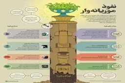 نفوذ موریانه وار
