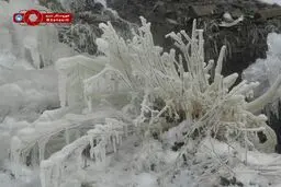 سرمای هوا و مناظر زیبا در منطقه دارآباد