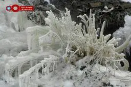 سرمای هوا و مناظر زیبا در منطقه دارآباد