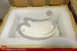 تمام قطعات فسیل‌های مراغه‌ای به ایران بازگردانده شده است+تصاویر