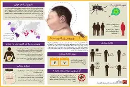 ویروس زیکا چیست؟