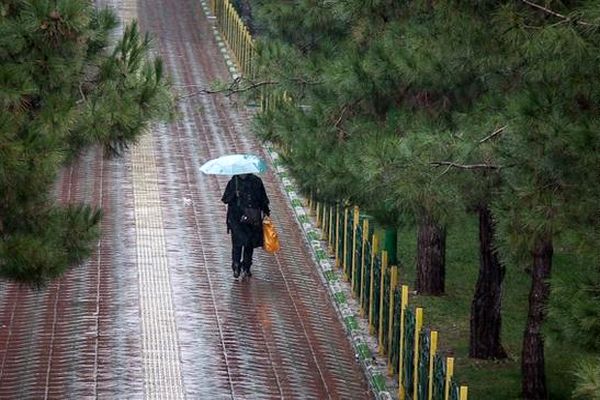بارش پراکنده باران و وزش باد در برخی مناطق جنوبی کشور