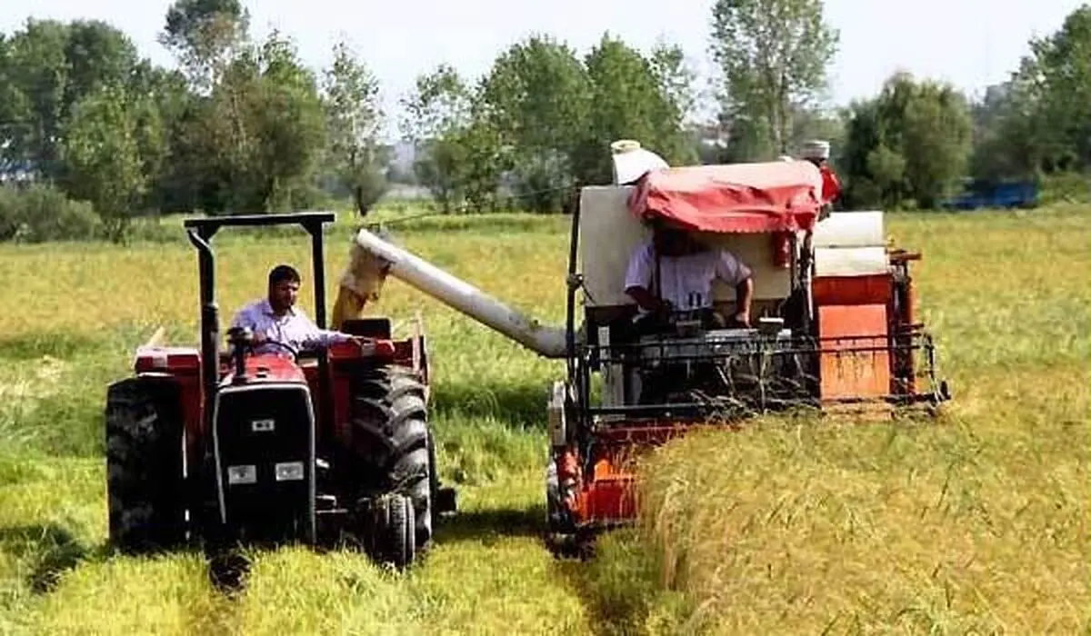 تعداد بیمه شدگان صندوق بیمه کشاورزی به یک میلیون و ۴۰۰ هزار نفر رسید