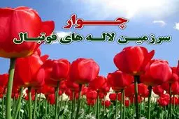 بزرگداشت شهدای چوار ایلام در هفته بیستم لیگ برتر فوتبال