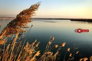 تالاب عشق آباد شهرری