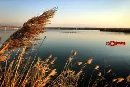 تالاب عشق آباد شهرری