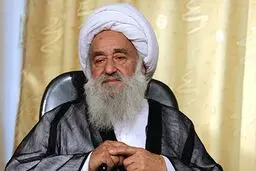 شورای نگهبان نگاه نمی‌کند شاه‌آبادی پسر استاد امام است یا رفیق امام