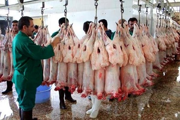 گوشت گران شد؛ مردم منتظر ارزانی نباشند/ دولت از صادرات حمایت نمی‌کند