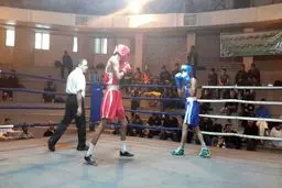 بوکسورهای نونهال روی رینگ رفتند