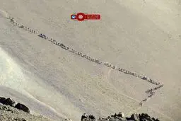 حرکت منظم یک گروه کوهنوردی در منطقه لواسان