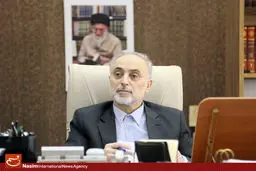 صالحی: ایران مایل به همکاری با ژاپن در زمینه نیروگاه‌های اتمی کوچک است