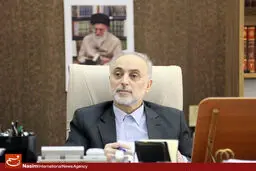 صالحی: ایران مایل به همکاری با ژاپن در زمینه نیروگاه‌های اتمی کوچک است