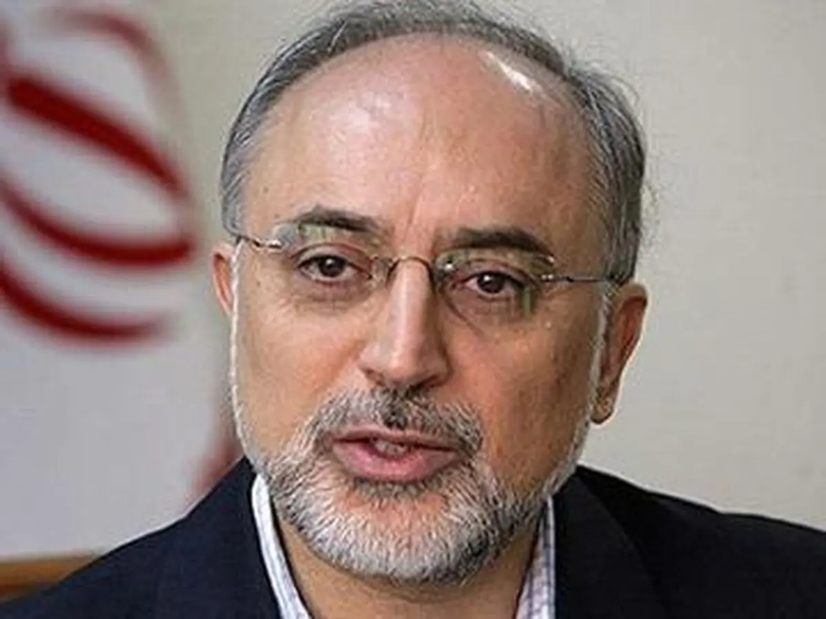 صالحی خواستار تولید راکتورهای ۲۵ مگاواتی با همکاری مجارستان شد