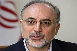 صالحی خواستار تولید راکتورهای ۲۵ مگاواتی با همکاری مجارستان شد