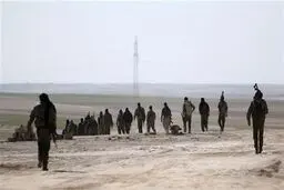 کشته شدن ۵۰ داعشی در حومه حلب