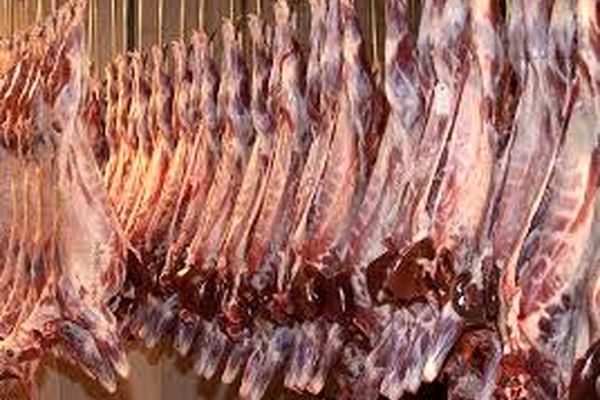 افت شدید قدرت خرید مردم در دو سال اخیر مانع گرانی گوشت شد