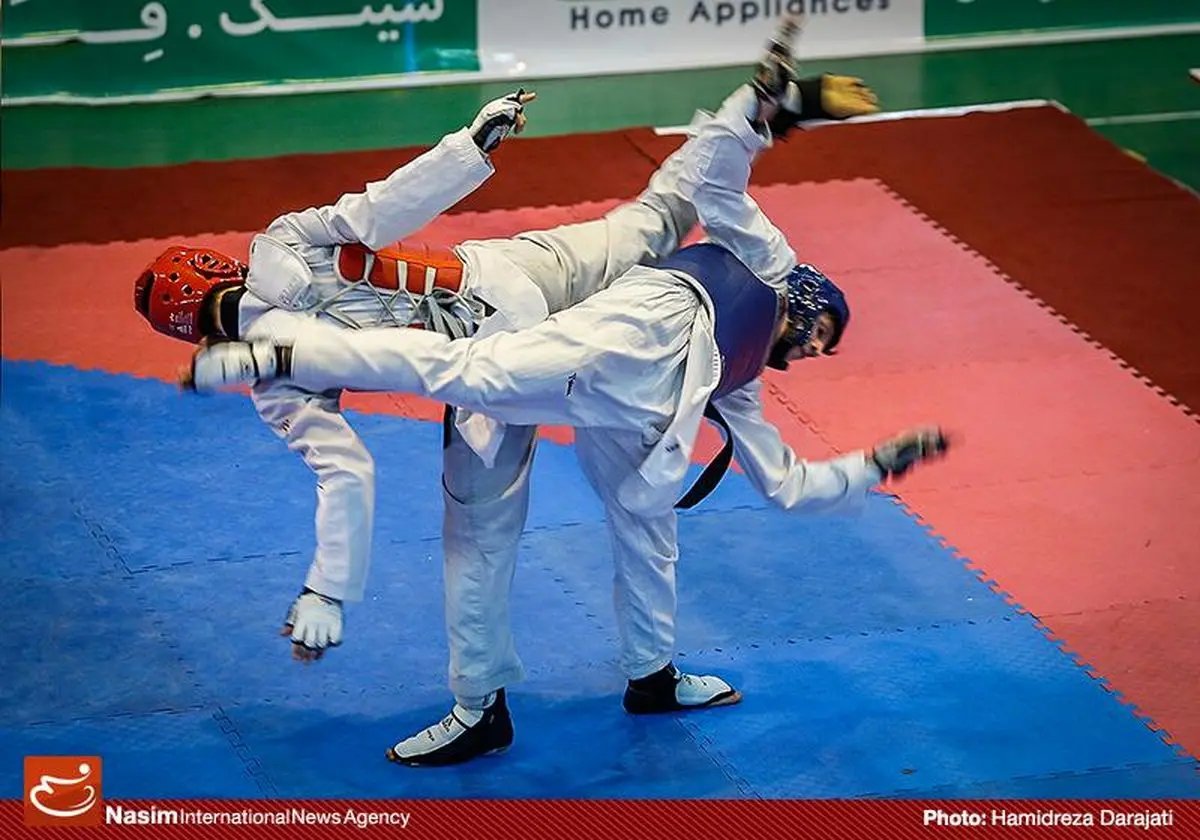 چهاردهمین دوره لیگ برتر تکواندو