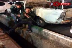 شکار موش در خیابان های تهران