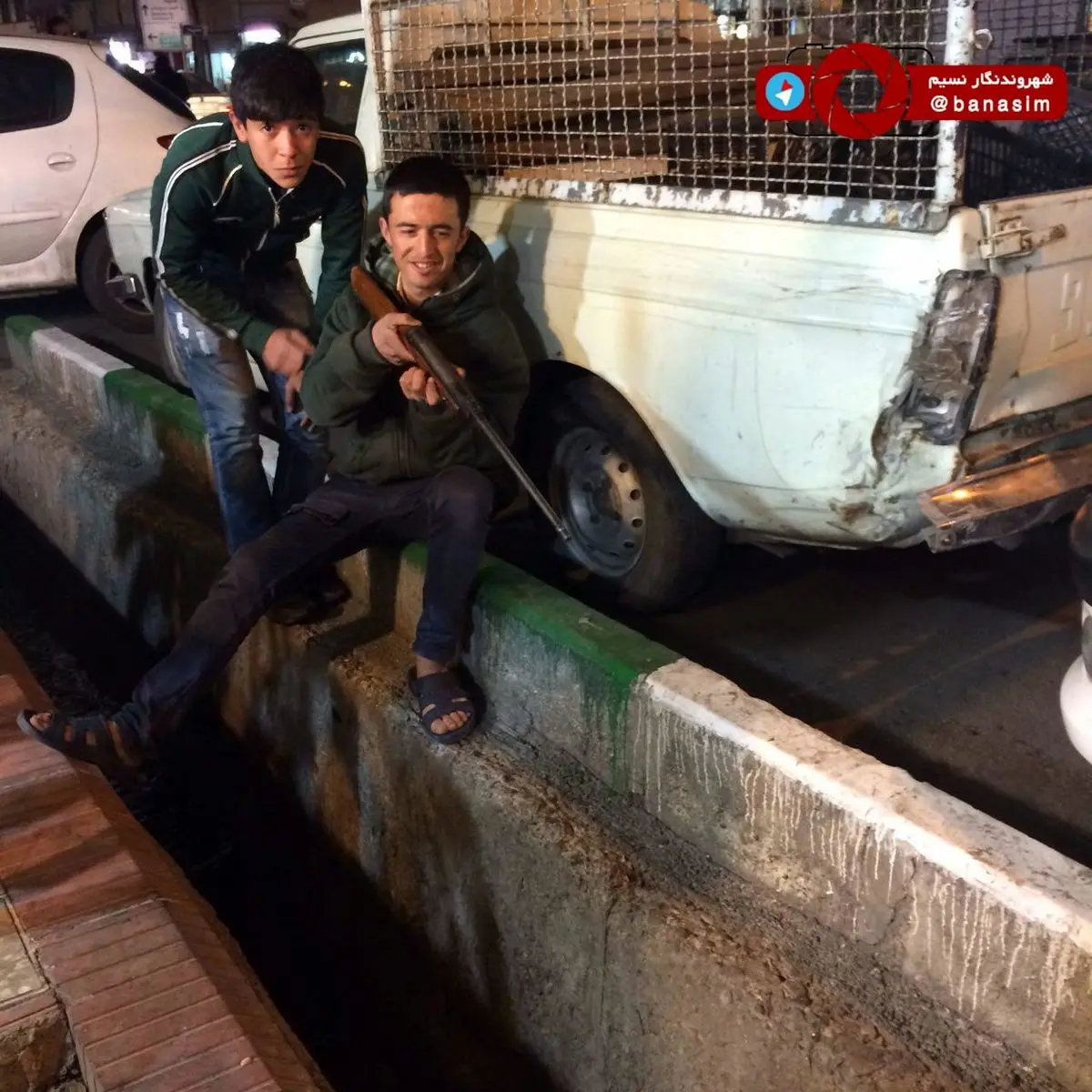 شکار موش در خیابان های تهران