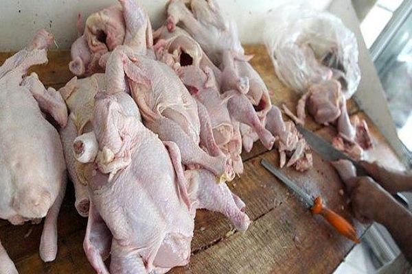 مرغ گران شد، دولت مرغ‌های ذخیره شده را وارد بازار کرد/ مرغ منجمد ۵۵۰۰ تومان شد/ صادرات مرغ ایران به عراق و افغانستان