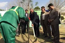 کاشت نهال توسط کفاشیان در آکادمی ملی فوتبال + عکس
