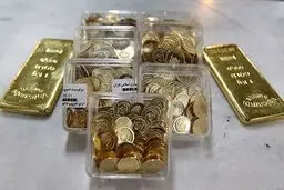 سکه طلا گران شد