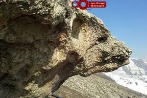 سنگی به شکل خرس در ارتفاعات دارآباد