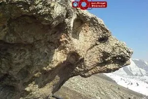 سنگی به شکل خرس در ارتفاعات دارآباد