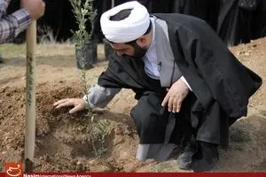 درختکاری اعضای کلاس 