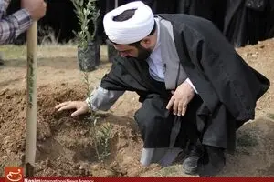درختکاری اعضای کلاس 