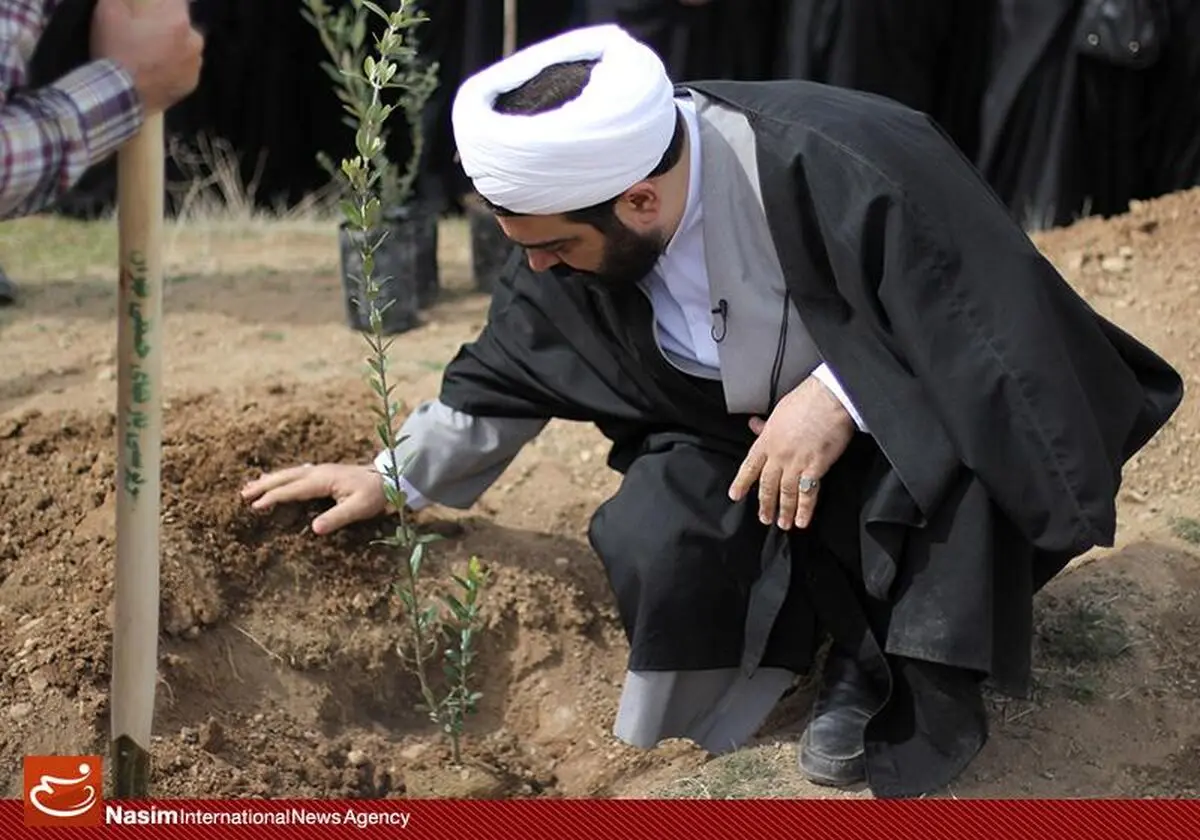 درختکاری اعضای کلاس "مجردها" با حضور شهاب مرادی