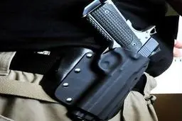 چند نفر در آلمان اجازه حمل سلاح دارند؟