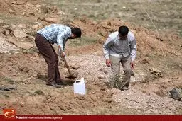 برگزاری مراسم فاز نخست اجرای طرح ملی نهضت درختکاری در پارک پردیسان