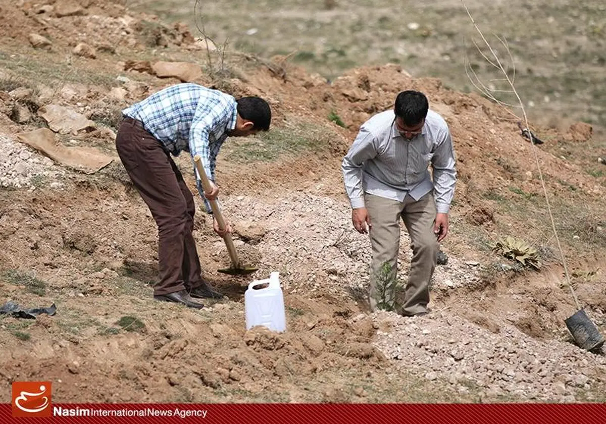 برگزاری مراسم فاز نخست اجرای طرح ملی نهضت درختکاری در پارک پردیسان