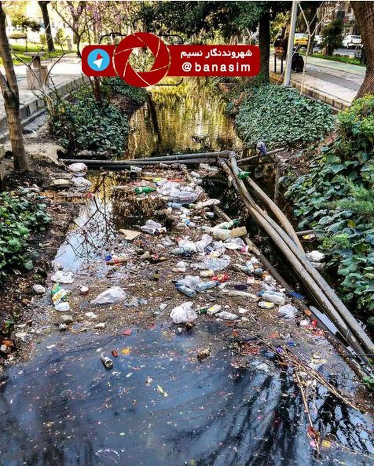 خانه تکانی شهرمان