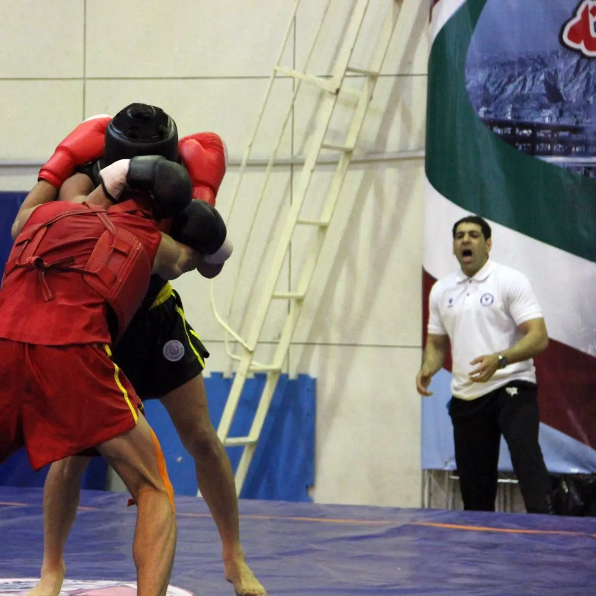 اسفندیاری: با توجه به بضاعت و بودجه‌ای که داشتیم وارد لیگ ووشو شدیم