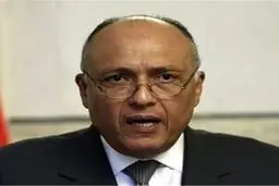 مصر: عملیات روسیه در سوریه برای نابودی تروریسم است