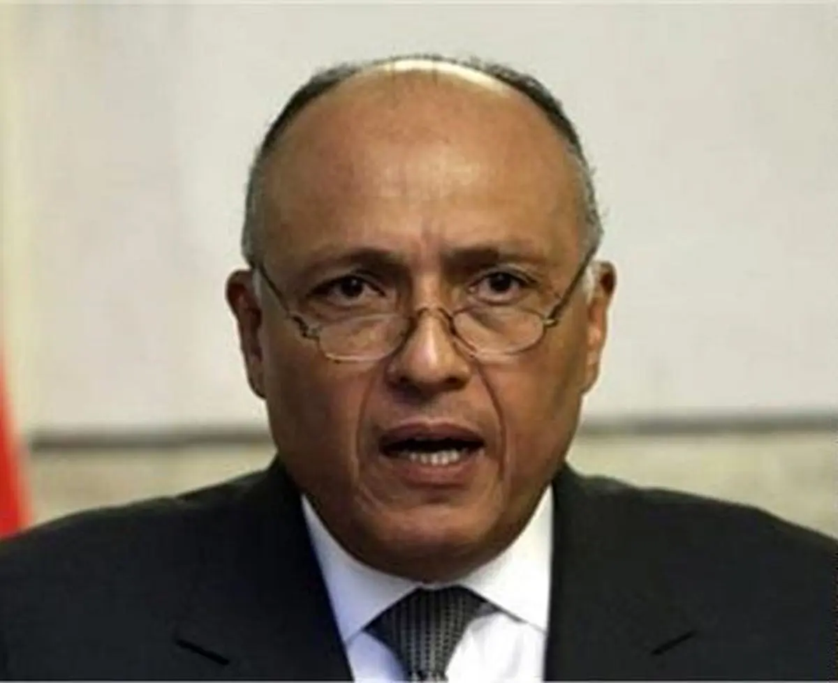 مصر: عملیات روسیه در سوریه برای نابودی تروریسم است