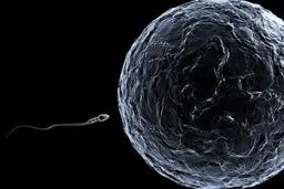 خرید و فروش اسپرم مردان خوشتیپ شرعی یا غیر شرعی؟+نظر مراجع