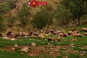 حال و هوای بهار در پل دختر استان لرستان