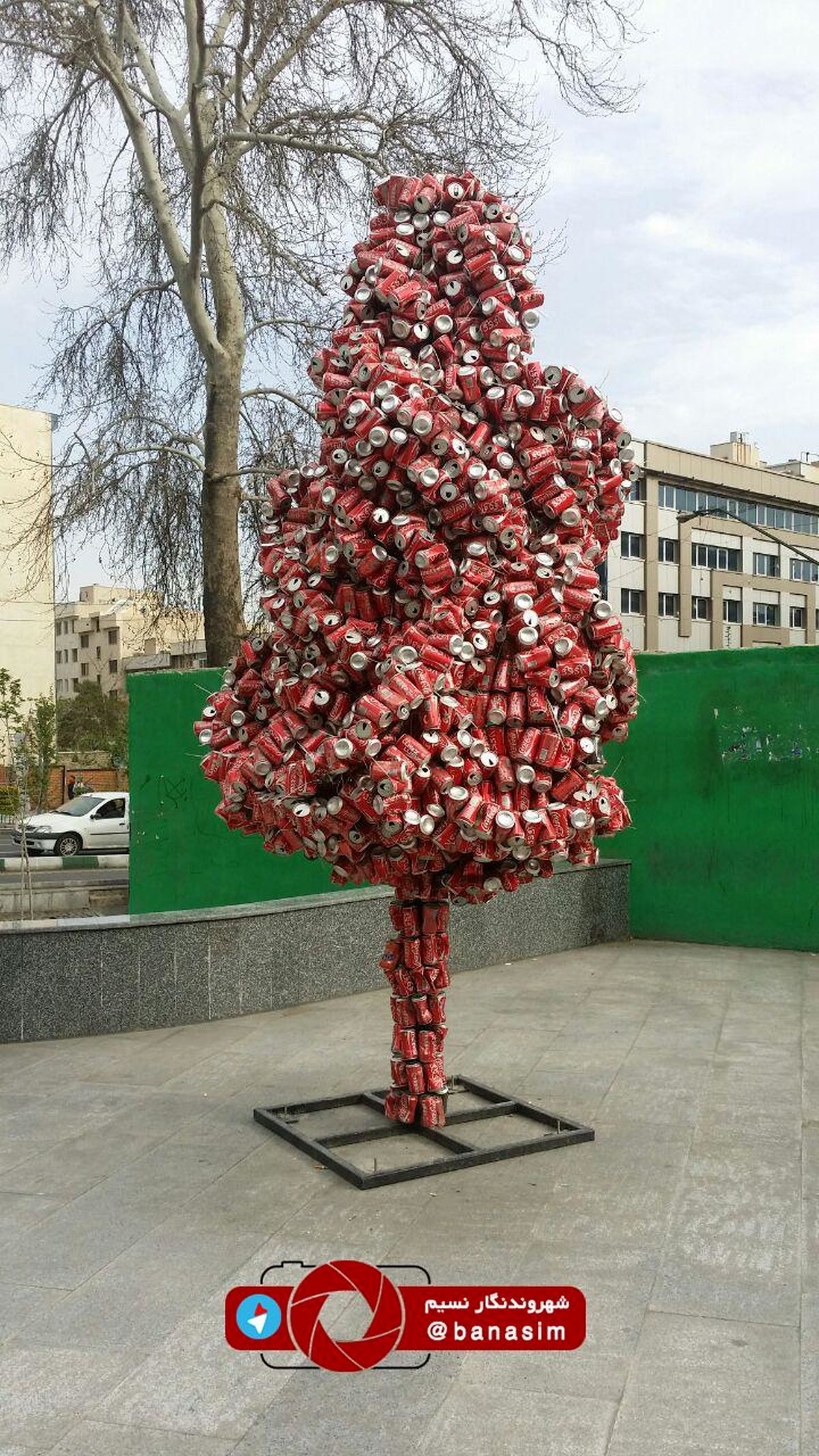 درخت کوکاکولا در تهران