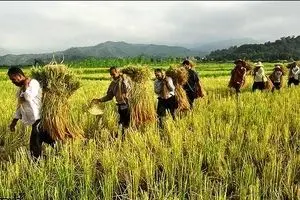 بانک کشاورزی اسناد مالکیت مزرعه را به عنوان وثیقه از کشاورز قبول نمی‌کند!