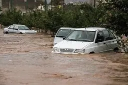 امدادرسانی به ۵۱ شهر و روستا متاثر از سیل و آب‌گرفتگی