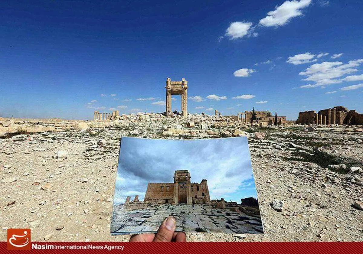 روزی روزگاری "پالمیرا"